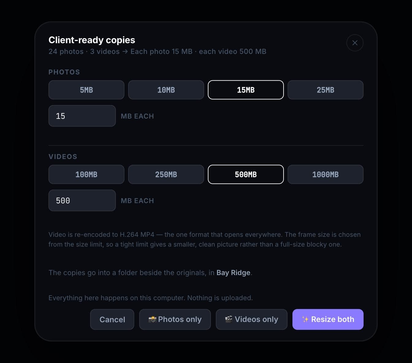 The standalone Resize tool